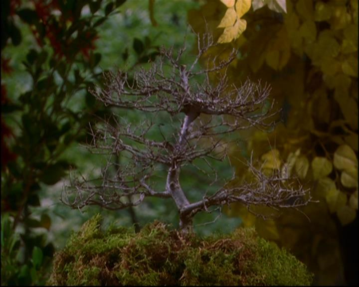Charmed-Online-dot-814-12AngryZen1044.jpg