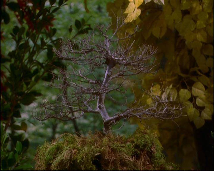 Charmed-Online-dot-814-12AngryZen1060.jpg Charmed-Online-dot-814-12AngryZen1060.jpg