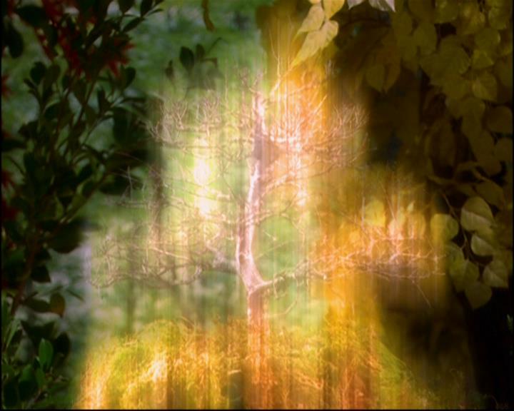 Charmed-Online-dot-814-12AngryZen1072.jpg