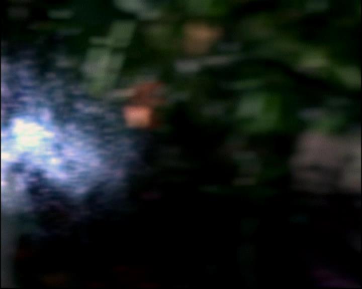 Charmed-Online-dot-814-12AngryZen1934.jpg Charmed-Online-dot-814-12AngryZen1934.jpg