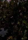 Charmed-Online-dot-814-12AngryZen0451.jpg