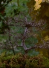 Charmed-Online-dot-814-12AngryZen1042.jpg