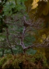 Charmed-Online-dot-814-12AngryZen1061.jpg