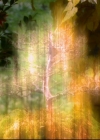 Charmed-Online-dot-814-12AngryZen1072.jpg