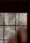 Charmed-Online-dot-816EngagedAndConfused0842.jpg