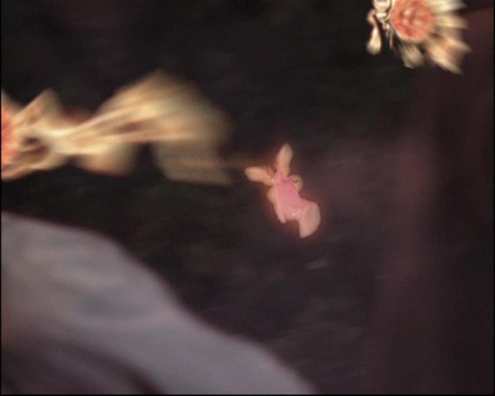 Charmed-Online-dot-820GoneWithTheWitches1823.jpg Charmed-Online-dot-820GoneWithTheWitches1823.jpg