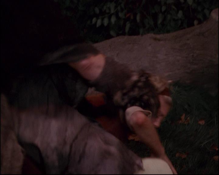 Charmed-Online-dot-820GoneWithTheWitches1841.jpg