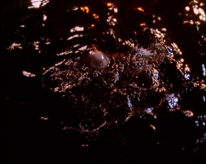 Charmed-Online-dot-820GoneWithTheWitches1886.jpg