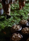 Charmed-Online-dot-820GoneWithTheWitches1542.jpg