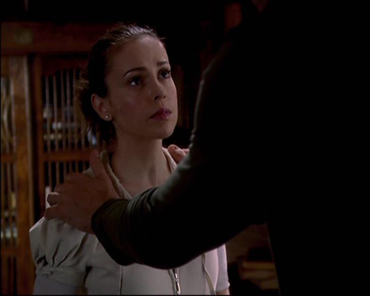 Charmed-Online-dot-net_822ForeverCharmed1588.jpg