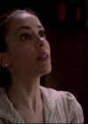 Charmed-Online-dot-net_822ForeverCharmed1615.jpg