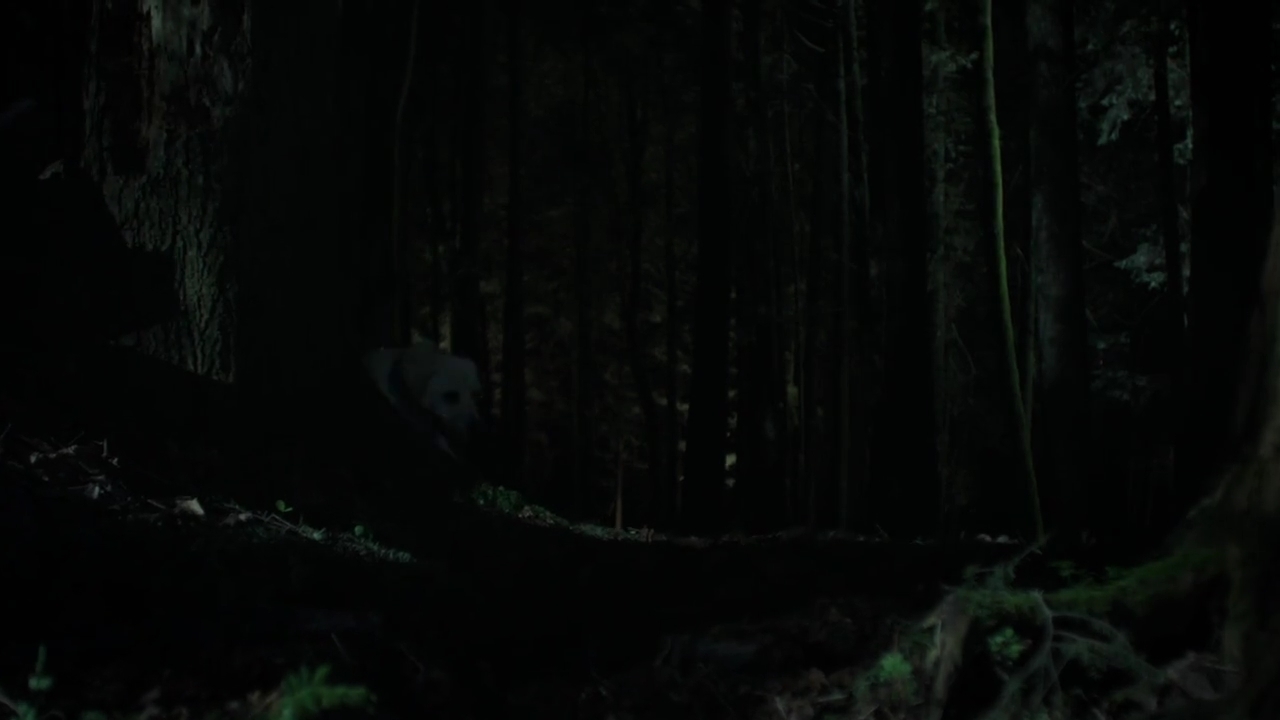 Charmed-Online-dot-nl_Charmed-1x01Pilot01483.jpg Charmed-Online-dot-nl_Charmed-1x01Pilot01483.jpg