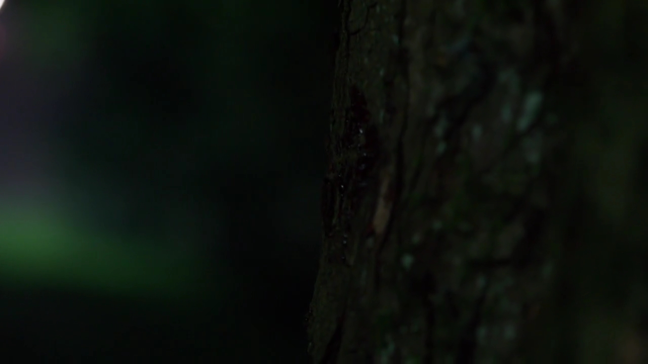 Charmed-Online-dot-nl_Charmed-1x03SweetTooth01934.jpg