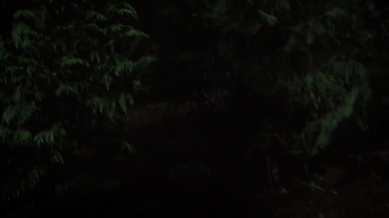 Charmed-Online-dot-nl_Charmed-1x03SweetTooth01937.jpg Charmed-Online-dot-nl_Charmed-1x03SweetTooth01937.jpg