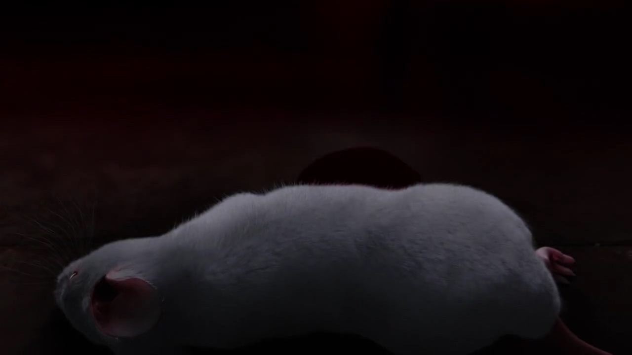 Charmed-Online-dot-nl_Charmed-1x12YoureDeathToMe00568.jpg