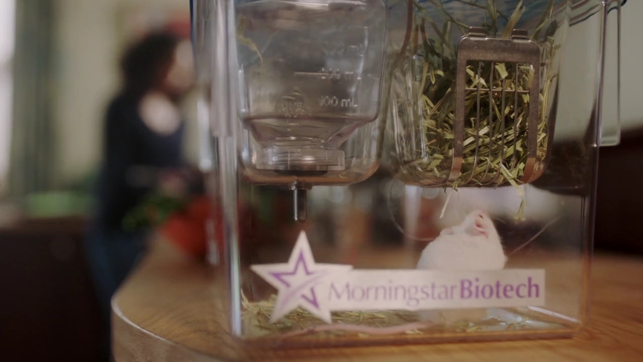 Charmed-Online-dot-nl_Charmed-1x12YoureDeathToMe00790.jpg Charmed-Online-dot-nl_Charmed-1x12YoureDeathToMe00790.jpg