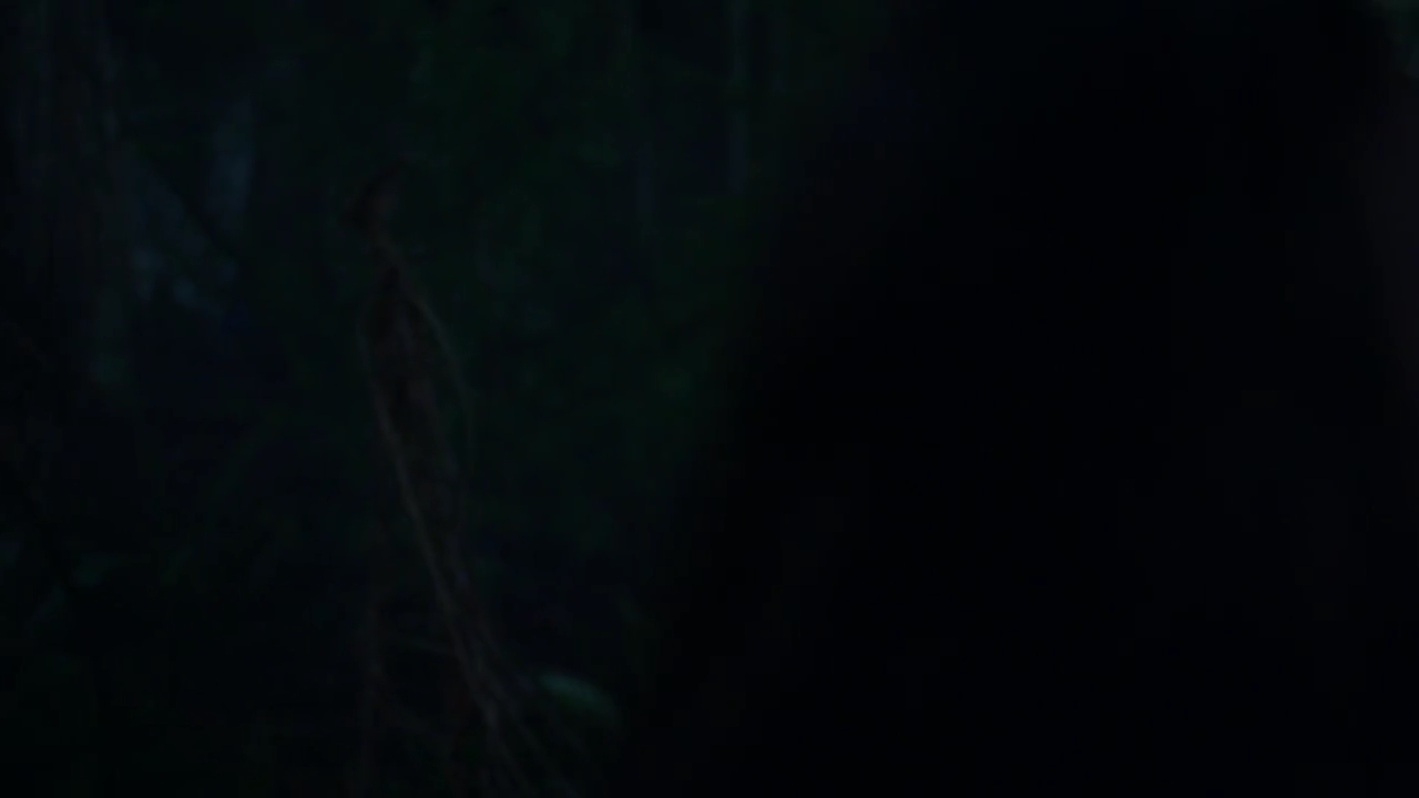 Charmed-Online-dot-nl_Charmed-1x15SwitchesAndStones00268.jpg