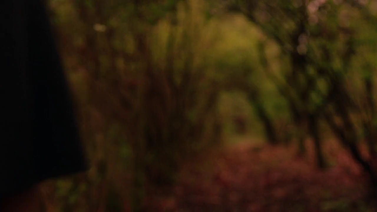 Charmed-Online-dot-nl_Charmed-1x21RedRain01811.jpg