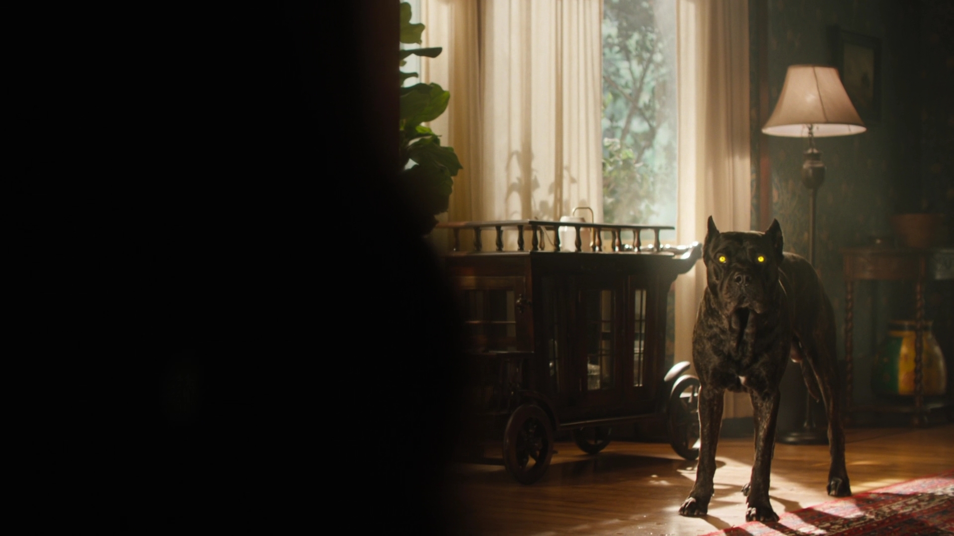Charmed-Online-dot-nl_2x05TheTruthAboutCatsAndDogs00690.jpg