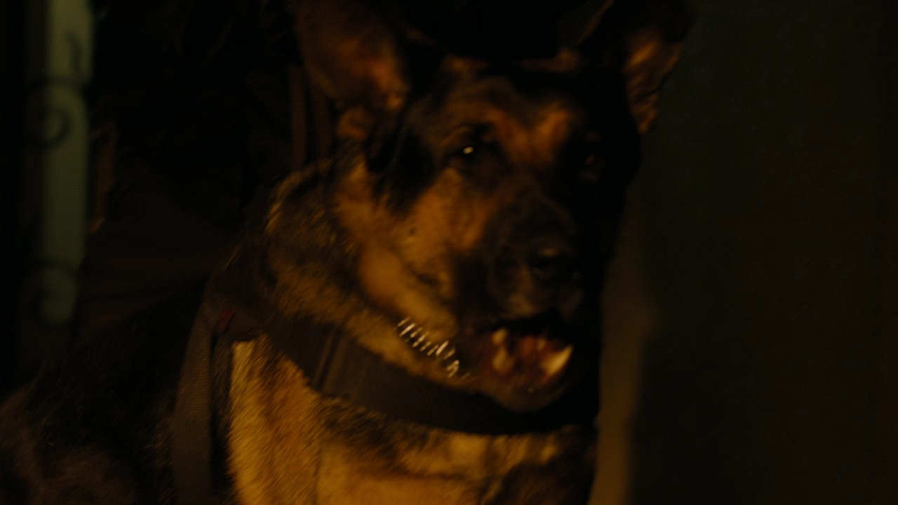 Charmed-Online-dot-nl_Charmed2x08TheRulesOfEngagement0877.jpg