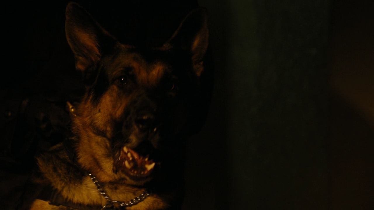 Charmed-Online-dot-nl_Charmed2x08TheRulesOfEngagement0878.jpg