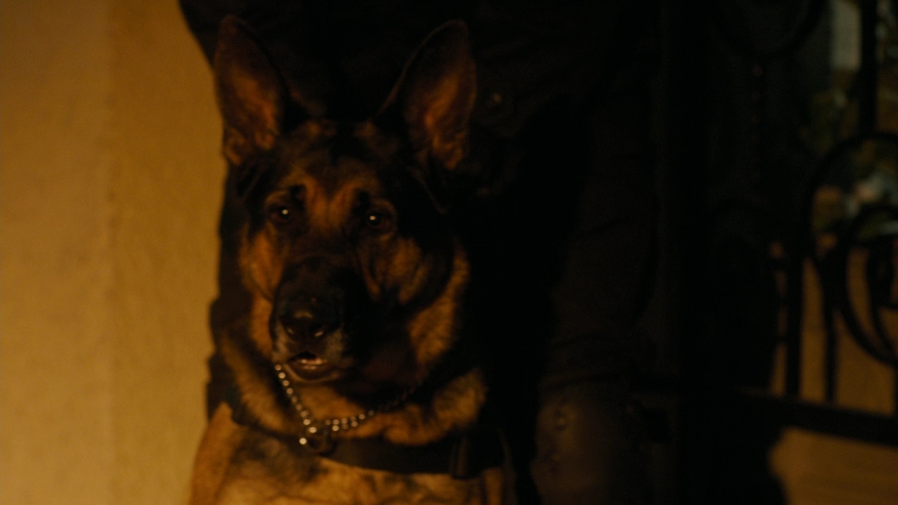 Charmed-Online-dot-nl_Charmed2x08TheRulesOfEngagement0883.jpg