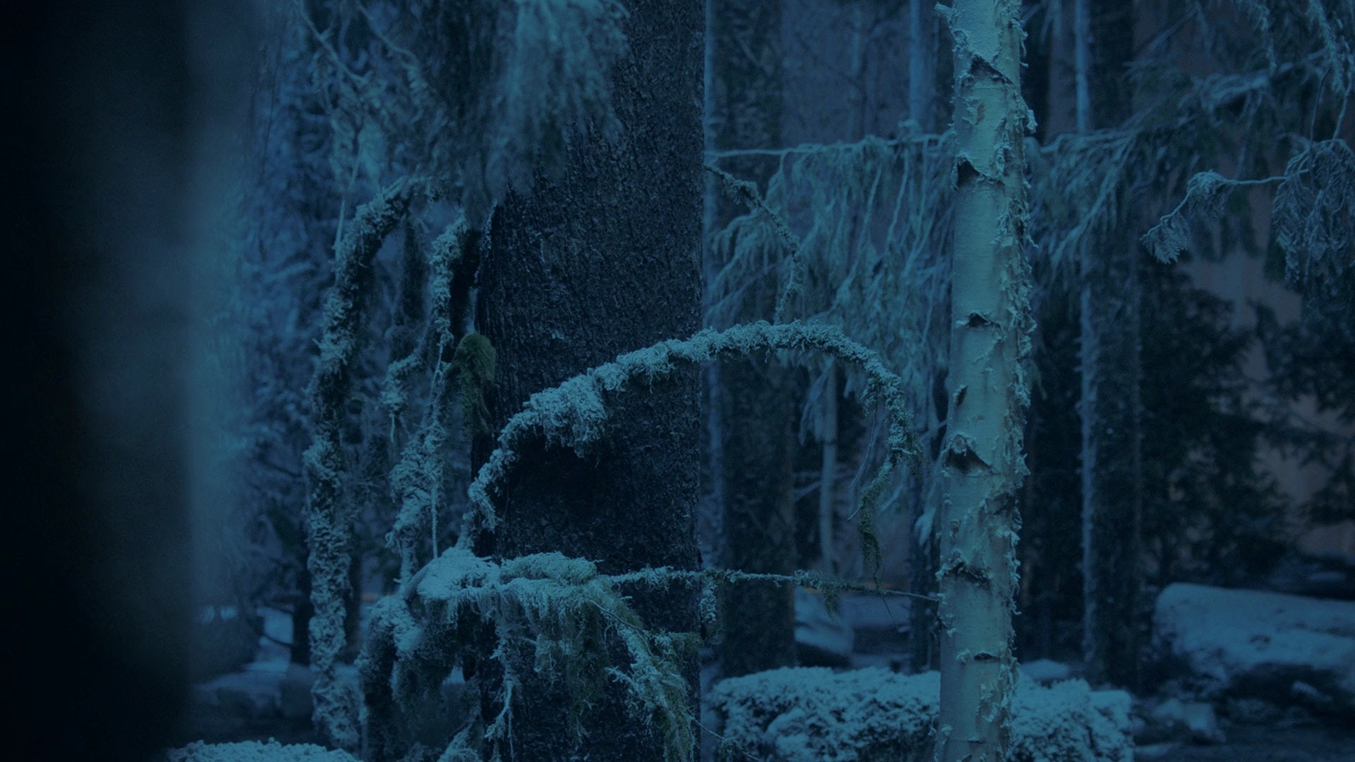 Charmed-Online-dot-nl_Charmed3x05YewDoYou0749.jpg