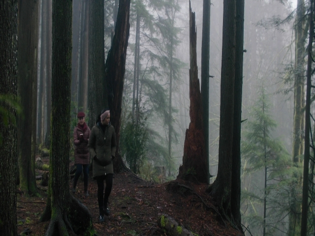 Charmed-Online-dot-nl_Charmed3x08OTheTangledWeb0769.jpg