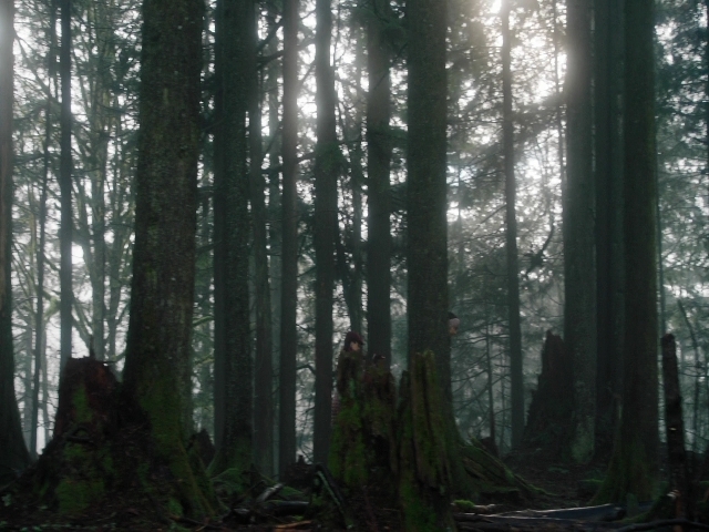 Charmed-Online-dot-nl_Charmed3x08OTheTangledWeb0792.jpg