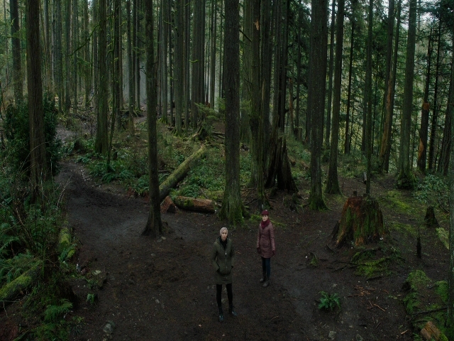 Charmed-Online-dot-nl_Charmed3x08OTheTangledWeb1049.jpg
