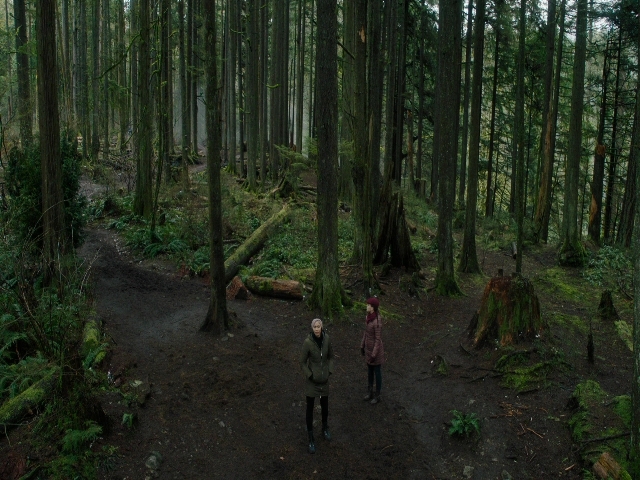 Charmed-Online-dot-nl_Charmed3x08OTheTangledWeb1050.jpg