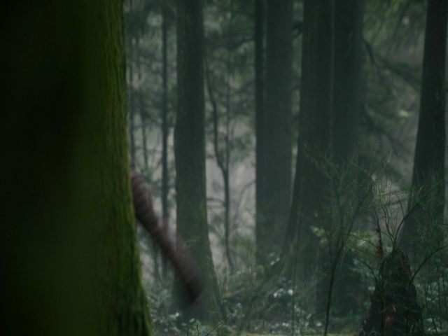 Charmed-Online-dot-nl_Charmed3x08OTheTangledWeb1181.jpg