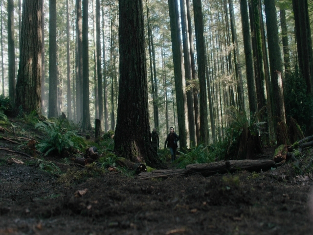 Charmed-Online-dot-nl_Charmed3x08OTheTangledWeb1316.jpg Charmed-Online-dot-nl_Charmed3x08OTheTangledWeb1316.jpg