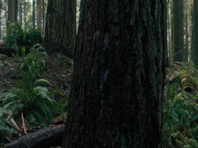 Charmed-Online-dot-nl_Charmed3x08OTheTangledWeb1323.jpg Charmed-Online-dot-nl_Charmed3x08OTheTangledWeb1323.jpg