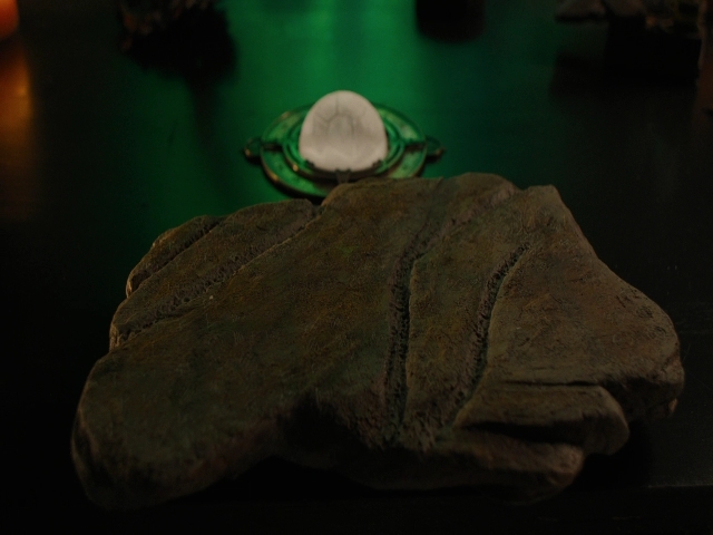 Charmed-Online-dot-nl_Charmed3x08OTheTangledWeb2450.jpg