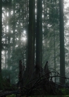 Bestandsnaam=Charmed-Online-dot-nl_Charmed3x08OTheTangledWeb0796.jpg
Bestandsgrootte=275KiB
Afmetingen = 640x480
Datum toegevoegd = mrt 30, 2021 Charmed-Online-dot-nl_Charmed3x08OTheTangledWeb0796.jpg