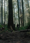 Charmed-Online-dot-nl_Charmed3x08OTheTangledWeb1316.jpg