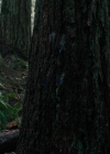 Charmed-Online-dot-nl_Charmed3x08OTheTangledWeb1323.jpg