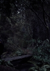 Charmed-Online-dot-nl_Charmed3x10BrujaHa1116.jpg