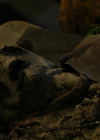 Charmed-dot-nl_Charmed3x14PerfectiIstheEnemyofGood1207.jpg