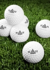 Bestandsnaam=golfball002.jpg
Bestandsgrootte=184KiB
Afmetingen = 493x493
Datum toegevoegd = mei 13, 2025 golfball002.jpg