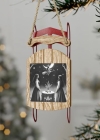 ornaments-sled001.jpg