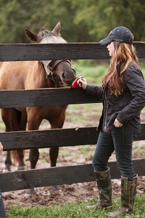 BP_GCSNH101H_lexington-horse-sanctuary_p.jpg